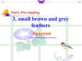 牛津譯林英語八年級上冊 unit6 Reading 1 課件
