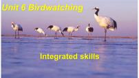 英语八年级上册Unit 6 Bird watching教案配套课件ppt