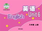 牛津译林英语八年级上册Unit6 Welcome 课件