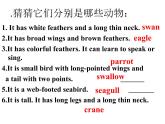 牛津译林英语八年级上册 Unit6 birdwatching  课件