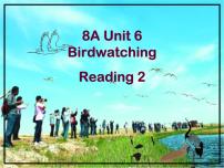 英语牛津译林版Unit 6 Bird watching授课课件ppt