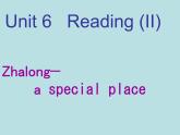牛津译林英语八年级上册unit6Reading (II)   课件