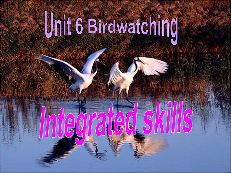 牛津译林英语八年级上册 unit 6Integrated skills 课件01