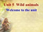 牛津译林英语八年级上册 unit5 Welcome 课件