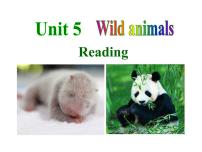 牛津译林版八年级上册Unit 5 Wild animals示范课ppt课件