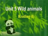 牛津譯林英語八年級(jí)上冊(cè) unit5 Reading (I) 課件