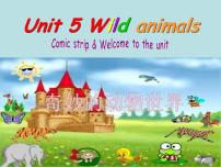 牛津译林版八年级上册Unit 5 Wild animals背景图ppt课件