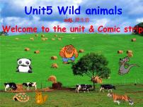 初中Unit 5 Wild animals图文ppt课件