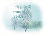 情态动词 课件