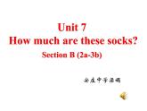 人教版新目标七年级上册unit 7 How much are these socks  Section B (2a-3b) （PPT18张 ）