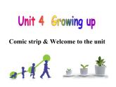 牛津译林英语 九年级上册Unit4Welcome(共29张PPT)