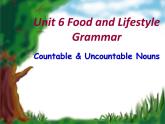 译林牛津版英语（七年级上册） Unit 6 Food and lifestyle Grammar教学课件 (共24张PPT)