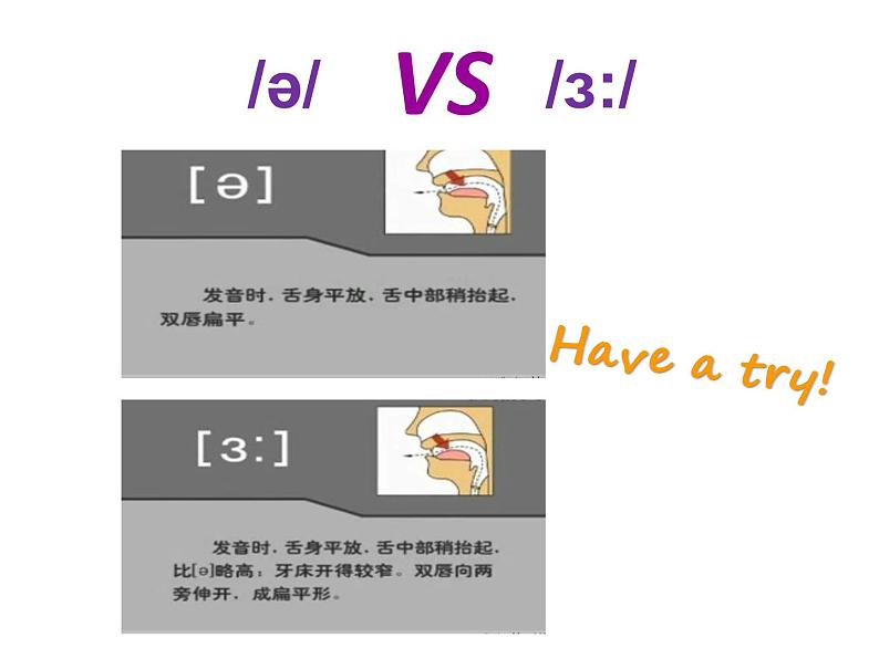 牛津译林英语 七年级上册unit4Study skills (共18张PPT)03