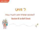 Unit 7 How much are these socks Section B 3a-Self Check课件