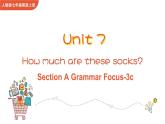 Unit 7 How much are these socks Section A Grammar focus-3c课件