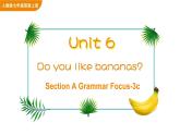 Unit 6 Do you like bananas Section A Grammar Focus-3c课件