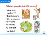 Unit 10 If you go to the party, you'll have a great time Section A Grammar Focus-3c课件