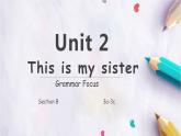 人教版七年级英语上册unit 2  Section A Grammar Focus(3a-3c) 课件