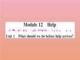 2020秋八年级英语上册Module12HelpUnit1Whatshouldwedobeforehelparrives作业课件新版外研版