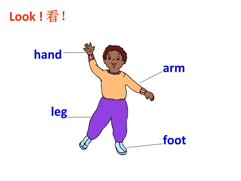 仁爱版七年级英语上Unit 2 Topic 1 I have a small nose. Section B 课件第7页