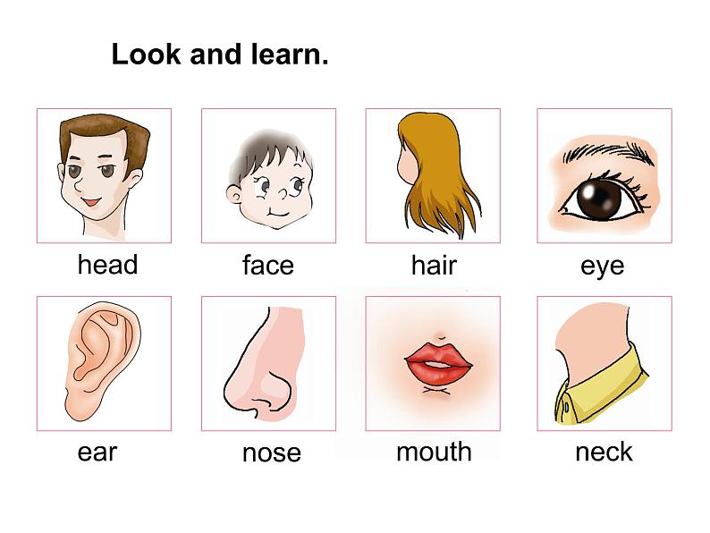 仁爱版七年级英语上Unit 2 Topic 1 I have a small nose. Section A 课件04