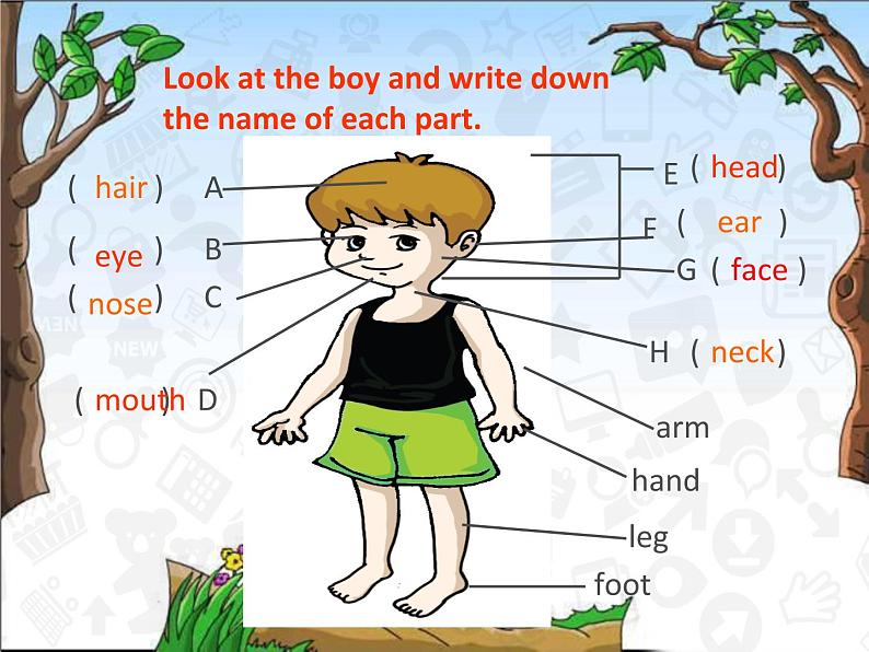 仁爱版七年级英语上Unit 2 Topic 1  I have a small nose. Section B 课件06