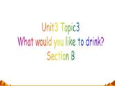 仁爱版七年级英语上Unit 3 Topic 3 What would you like to drink？ Section B  课件.
