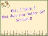 仁爱版七年级英语上Unit 3 Topic 2 What  does your mother do？ Section B  课件.