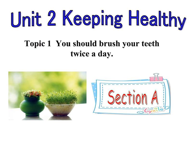 仁爱版八年级英语上册 Unit 2 Topic 1  You should brush your teeth twice a day.   Section A  课件01