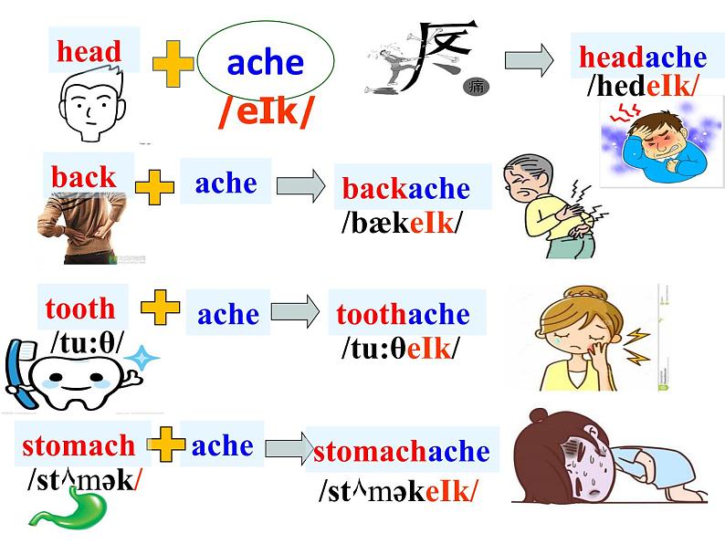 仁爱版八年级英语上册 Unit 2 Topic 1  You should brush your teeth twice a day.   Section A  课件04