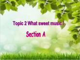 仁爱版八年级英语上册 Unit 3  Topic 2 What sweet music ! Section A 课件.