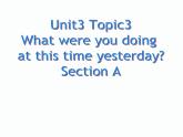 仁爱版八年级英语上册 Unit 3  Topic 3 What were you doing at this time yesterday？ Section A 课件.