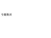 2020春人教版八年級(jí)英語(yǔ)下冊(cè)課件：專(zhuān)題集訓(xùn) (共14張PPT)