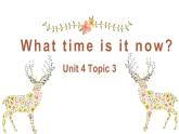 U4 Topic 3 What time is it now? 课件