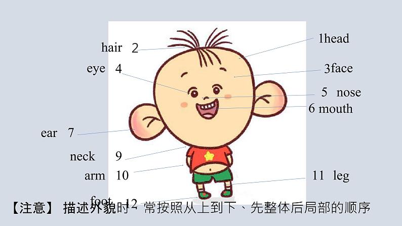 U2 Topic 1 I have a small nose 课件02