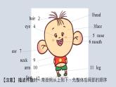 U2 Topic 1 I have a small nose 课件