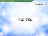 九年级Unit1 How can we become good learners.语法专练 习题课件