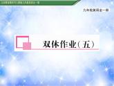 九年级Unit5 What are the shirts made of？双休作业（五） 习题课件