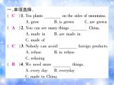 九年级Unit5 What are the shirts made of？双休作业（五） 习题课件