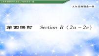 初中Section B习题课件ppt