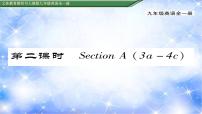 初中英语人教新目标 (Go for it) 版九年级全册Section A习题课件ppt