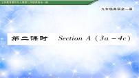 九年级全册Section A习题ppt课件