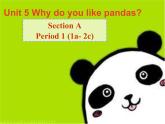 人教版七下Unit 5 Why do you like pandas  Section A 课件