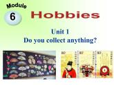 外研英语八年级下Module 6 Unit 1 Do you collect anything ? 课件(共20张PPT)