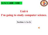 Unit 6 I'm going to study computer science. 课件