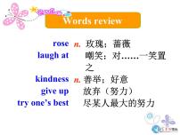 初中英语外研版 (新标准)九年级下册Unit 2 I know that you will be better at maths.教案配套课件ppt