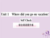 人教新目标 (Go for it) 版八年级上册Unit 1 Where did you go on vacation?综合与测试练习题课件ppt