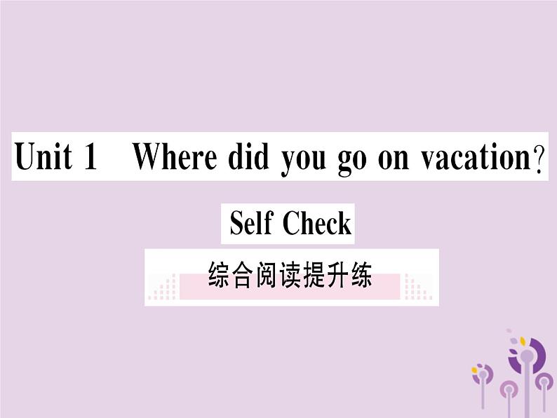 （通用版）2018秋八年级英语上册Unit1Wheredidyougoonvacation综合阅读提升练习题课件（新版）人教新目标版第1页