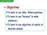 Unit 5 Section A Grammar Focus-3c 课件