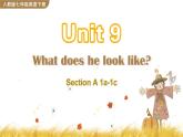 Unit 9 Section A 1a-1c 课件+音频素材